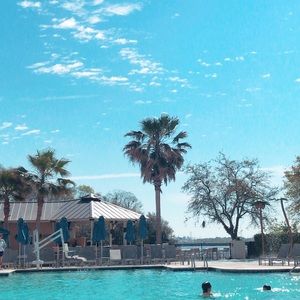 Meet your Posher, Jesse